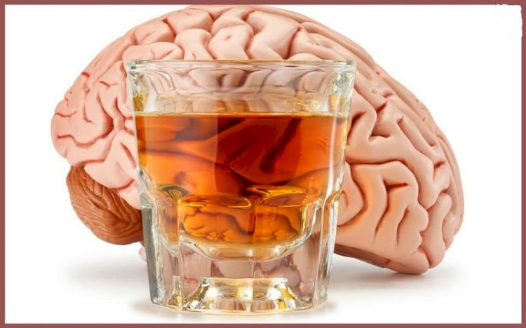 تأثير الكحول على الدماغ والجهاز العصبي